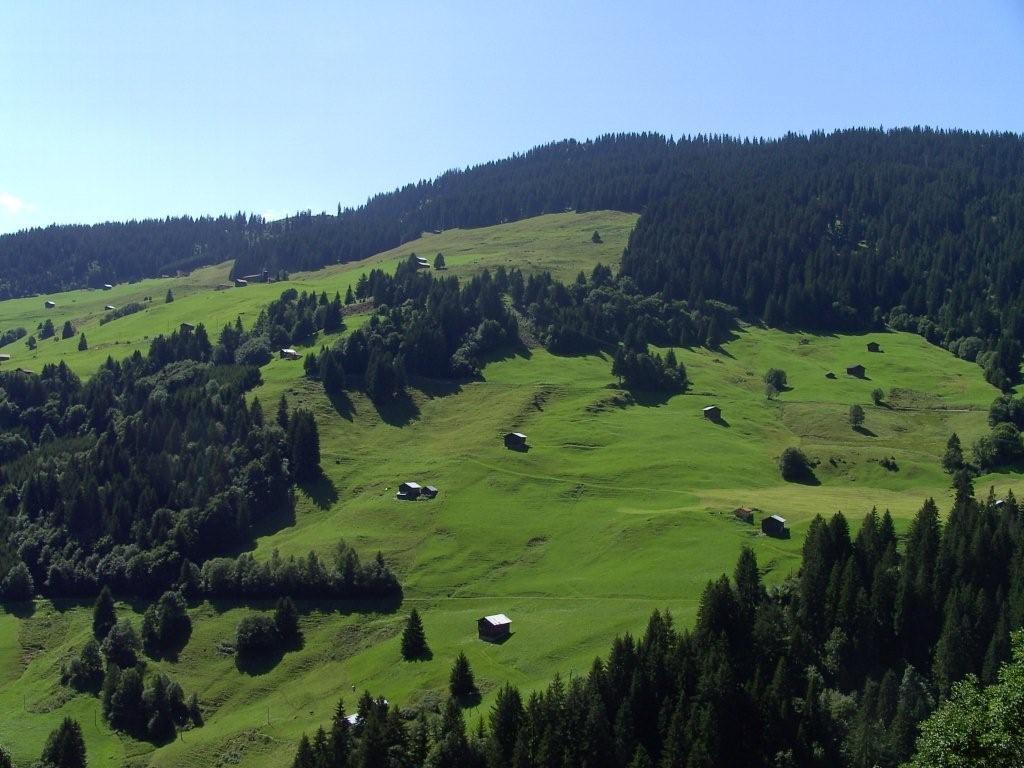 Scenari alpini